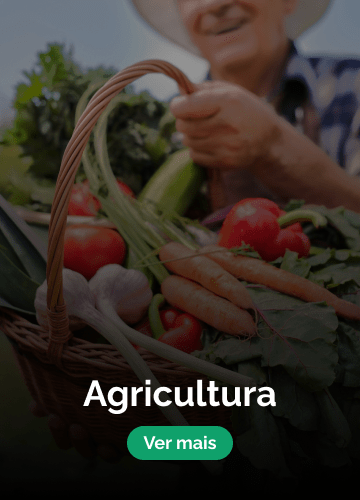 Agricultura
